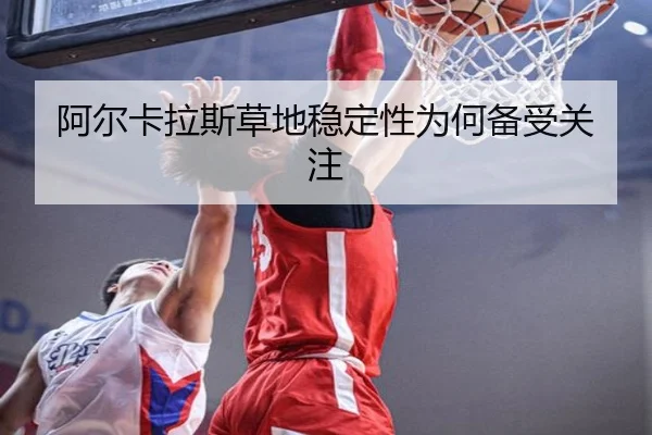阿尔卡拉斯草地稳定性为何备受关注